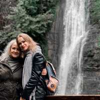 Botanical greenery of Tbilisi