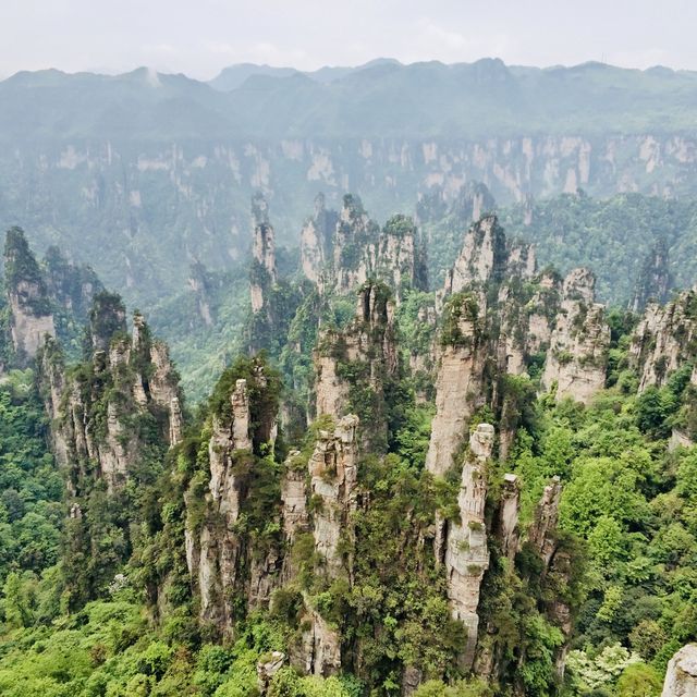 Avatar Mountains, Zhangjiajie, China
