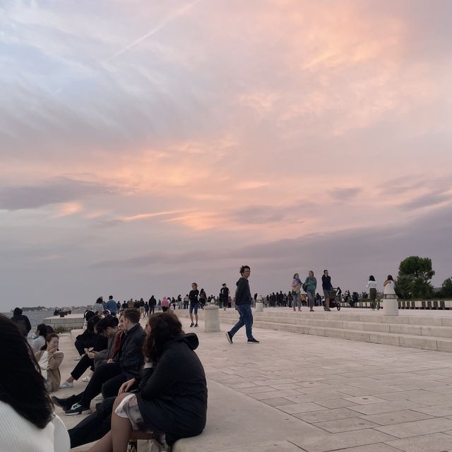 자다르에 온 이유는?!