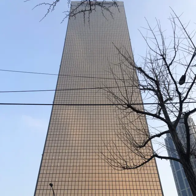 과거에 한국에서 가장 상징적으로 높은 빌딩을 찾는다면!! 63빌딩으로 고고싱~