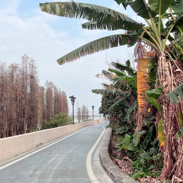 Take a boat ride to an island in Guangzhou