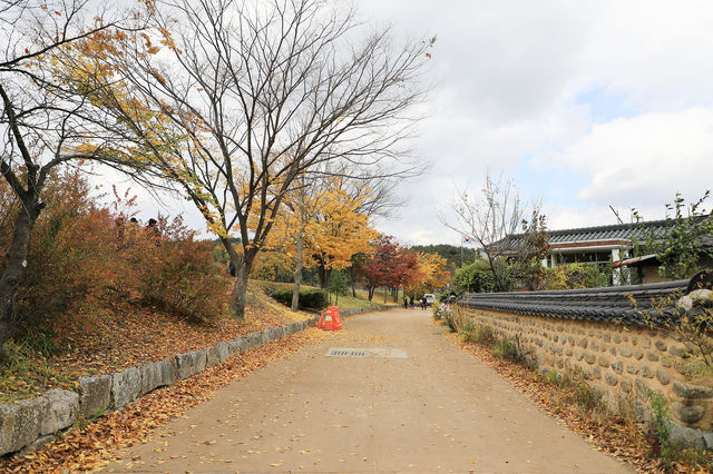 영주 무섬마을 외나무다리