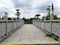 Into The Wetlands!