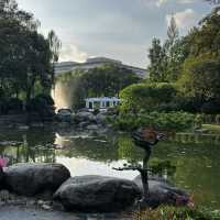 A Very Lively Park in Hongqiao Area
