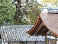 世界文化遺產日本春日大社