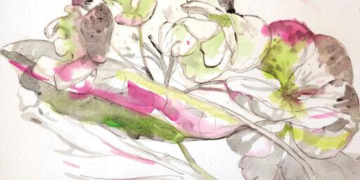 Starling Studio PEN & WASH with Zara Slattery | Starling Studio