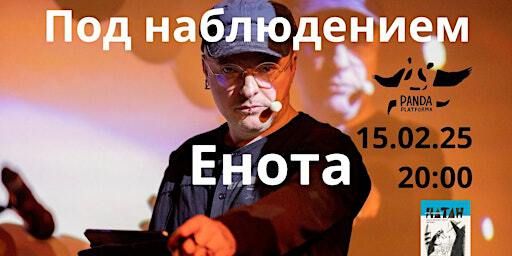 Supervised by a raccoon. Delphinov reads Solomonov | PANDA platforma