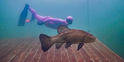 NoTanx Freediving - Colchester Monday Session | Leisure World