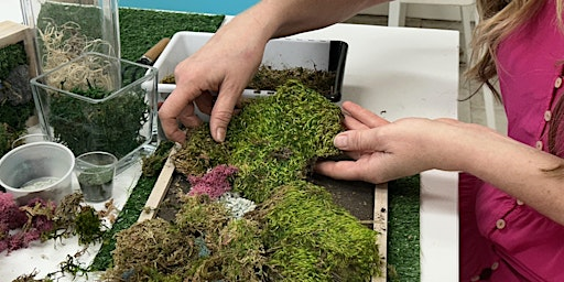 Moss Wall Art Workshop | Tiny Greens Plant Shop & Drop-in Planting Studio - Planting Parties and Events