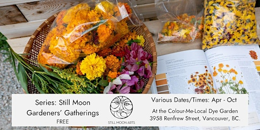 Still Moon Gardeners’ Gatherings at the Colour-Me-Local Dye Garden | Colour Me Local Dye Garden