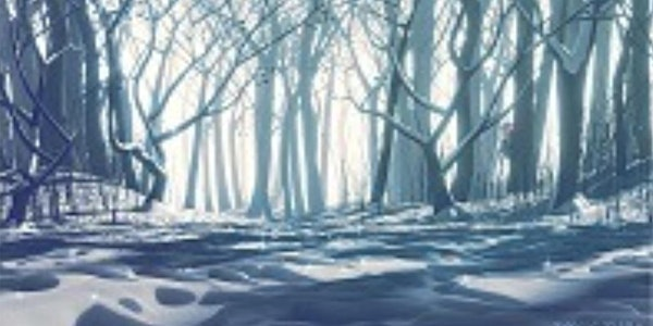 Winter Stained Glass Suncatchers @ Glass Visions Studio Springfield MA | 81 Mill St