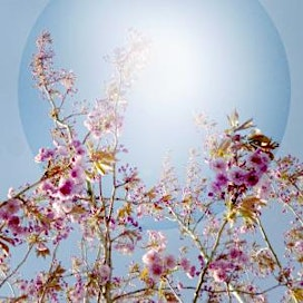 Clear Mind, Peaceful Heart | Half Day Meditation Retreat | Kadampa Meditation Centre Leeds
