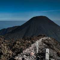 Hiking Mount Gede Pangrango