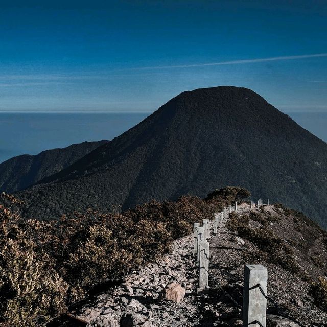 Hiking Mount Gede Pangrango