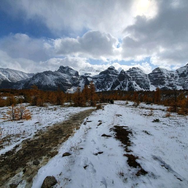 Scenery and Wildlife Viewing at Jasper