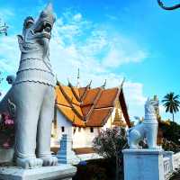 มุมเด็ดพระอาทิตย์ขึ้น ที่วัดภูมินทร์ 