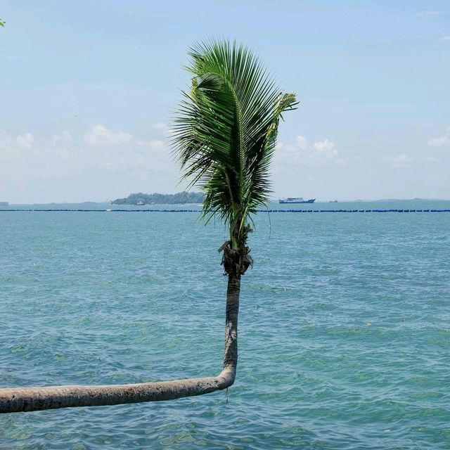 Siloso Beach, Attraction in Sentosa