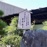 白濱必住溫泉♨️旅館