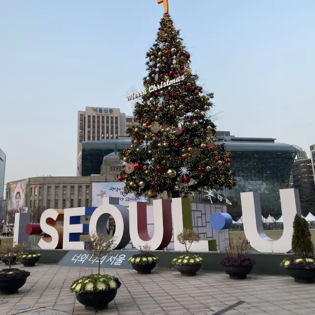 시청역에서 크리스마스를!