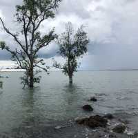 สัมผัสธรรมชาติ หาดทรายยาว สตูล