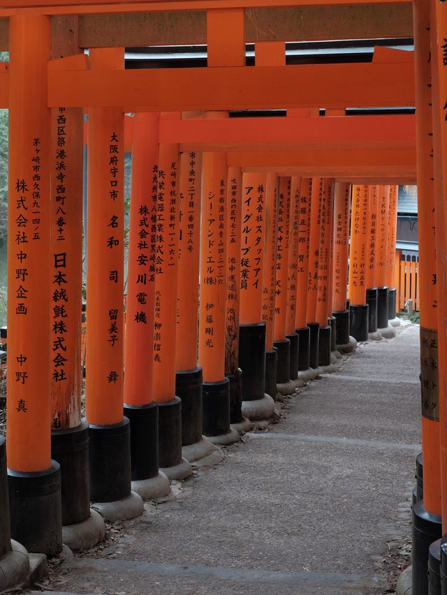 The Iconic Shinto Shrine in Kyoto