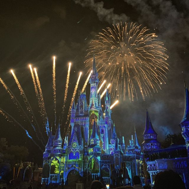 매직킹덤 Happily ever after 불꽃놀이🎇