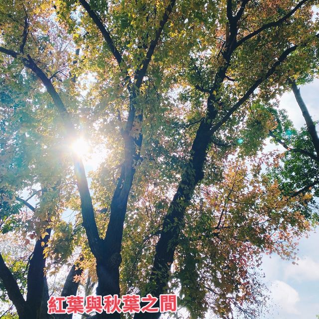 冷門行山路線 冷門行山路線