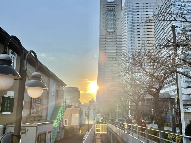 よこはまコスモワールド🎡