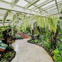 Tropical Montane Orchidetum Singapore