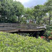賞花攻略 蝴蝶灣公園