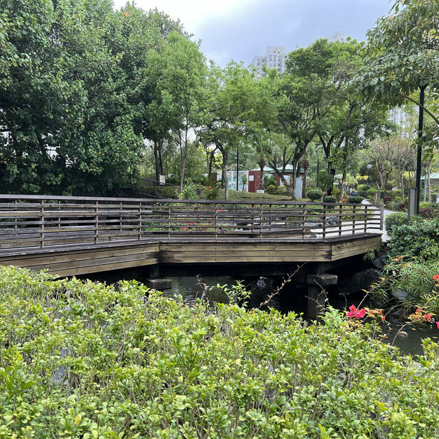 賞花攻略 蝴蝶灣公園