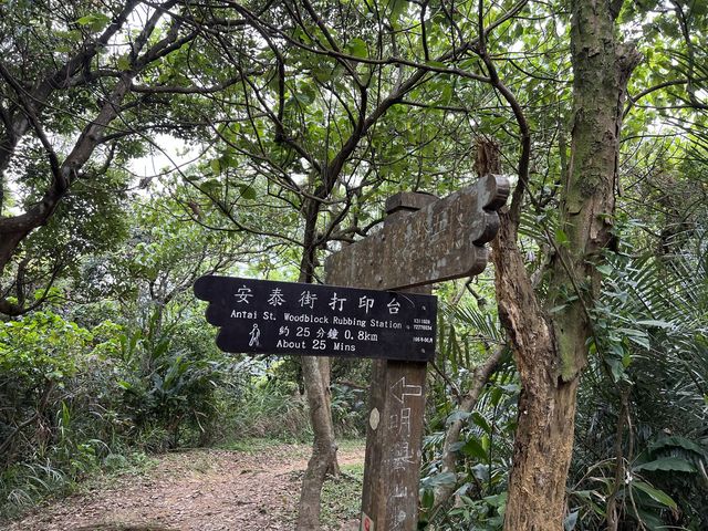 康樂山親山步道｜湖水城景盡收眼底❤️‍🔥