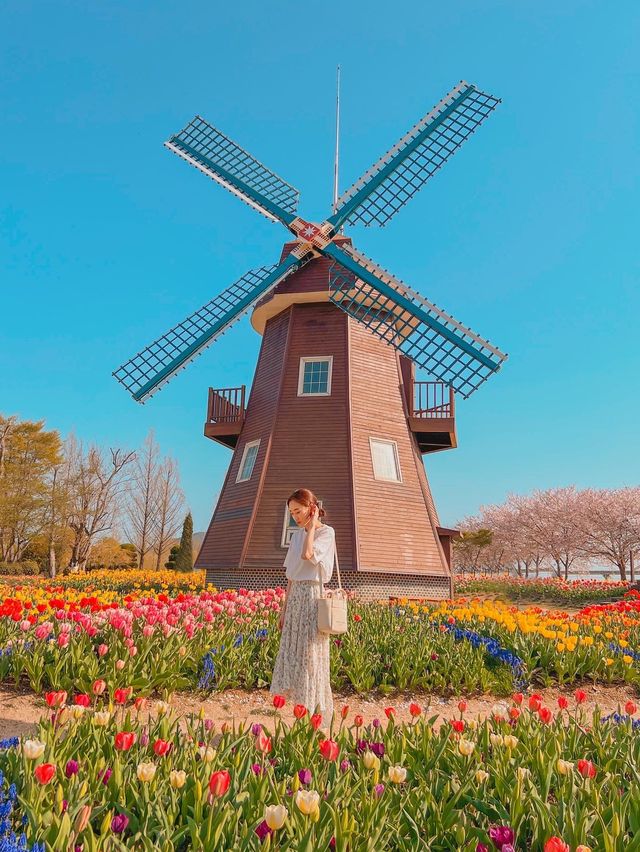 여기는 네덜란드🌷