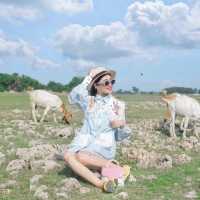เที่ยว สวิตเซอร์แลนด์เมืองไทย ใกล้ๆ แค่ ลพบุรี