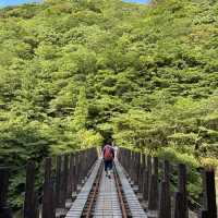 屋久島！縄文杉トレッキング
