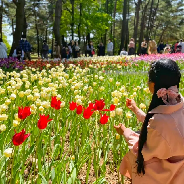 #Tulips♥️