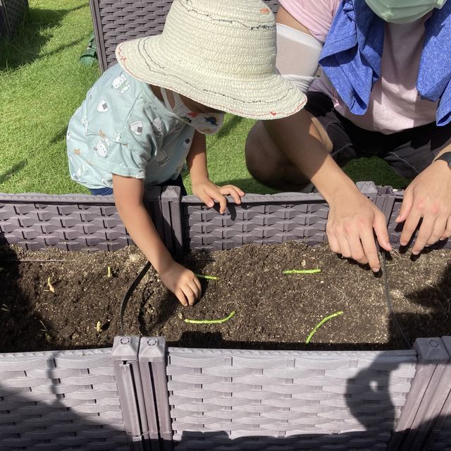 親子活動～「親子農耕樂」🥬🥕🌶