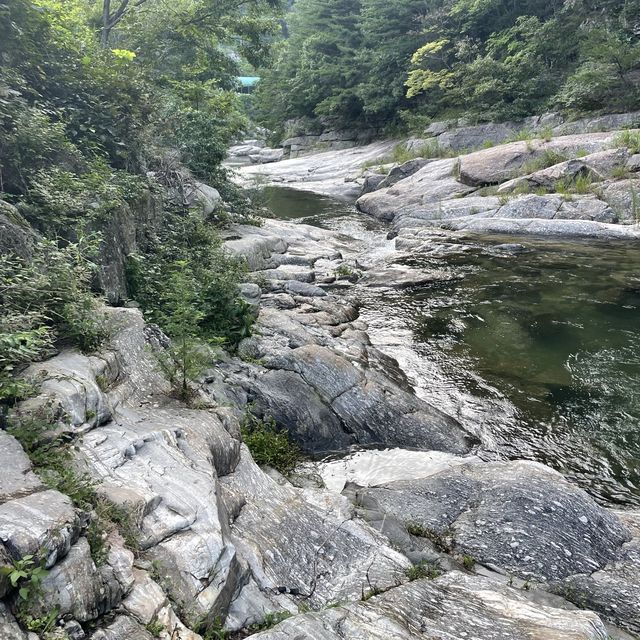 대구근교 성주 포천계곡으로 무더위 피하기🌊