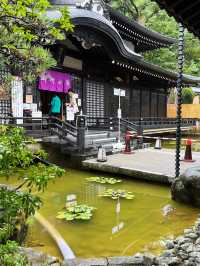 週末の旅【城崎温泉街】