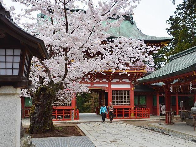 Shiogama Shrine 
