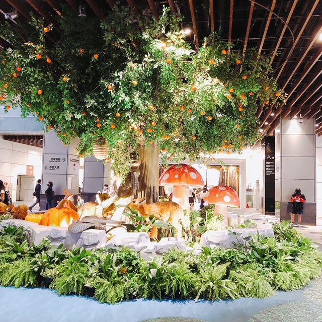 🌳大人小孩都愛來🎃CITYLINK Nangang Store CITYLINK南港店