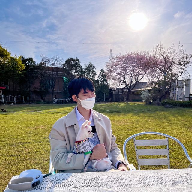 전주 근교 삼례 숨겨진 찐 맛집 카페 “금자네시댁”