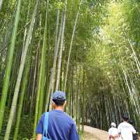 Juknokwon Bamboo Forest