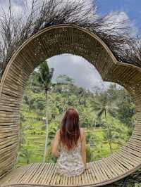 I cant Bali-eve my eyes.....