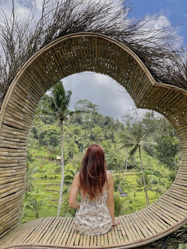 I cant Bali-eve my eyes.....