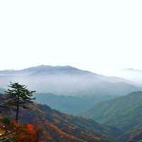단풍이 아름다원 산 이름이 되다