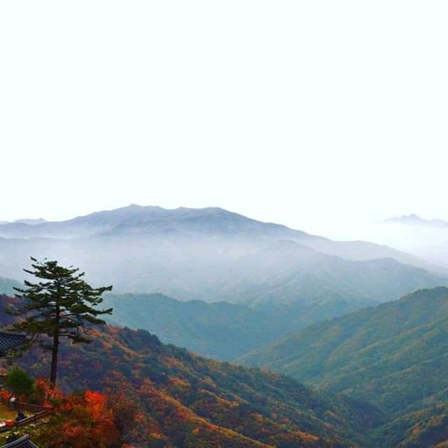 단풍이 아름다원 산 이름이 되다