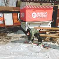 스키와 보드의 계절, 오크밸리 스키 리조트에서 즐겨요🏂