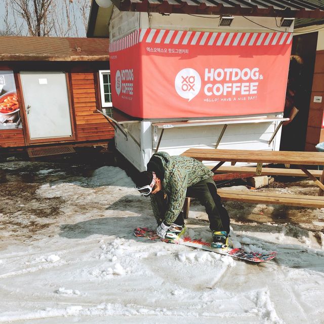 스키와 보드의 계절, 오크밸리 스키 리조트에서 즐겨요🏂