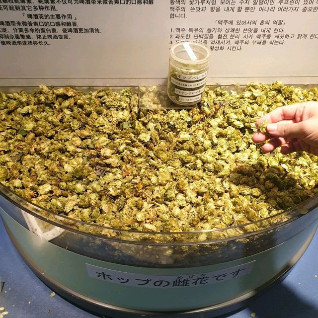 술을 좋아하신다면 필수코스 아사히 맥주공장 체험